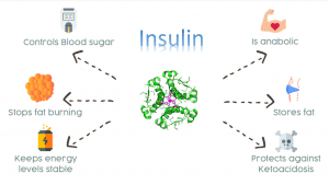 Insulin infographic featured image for article