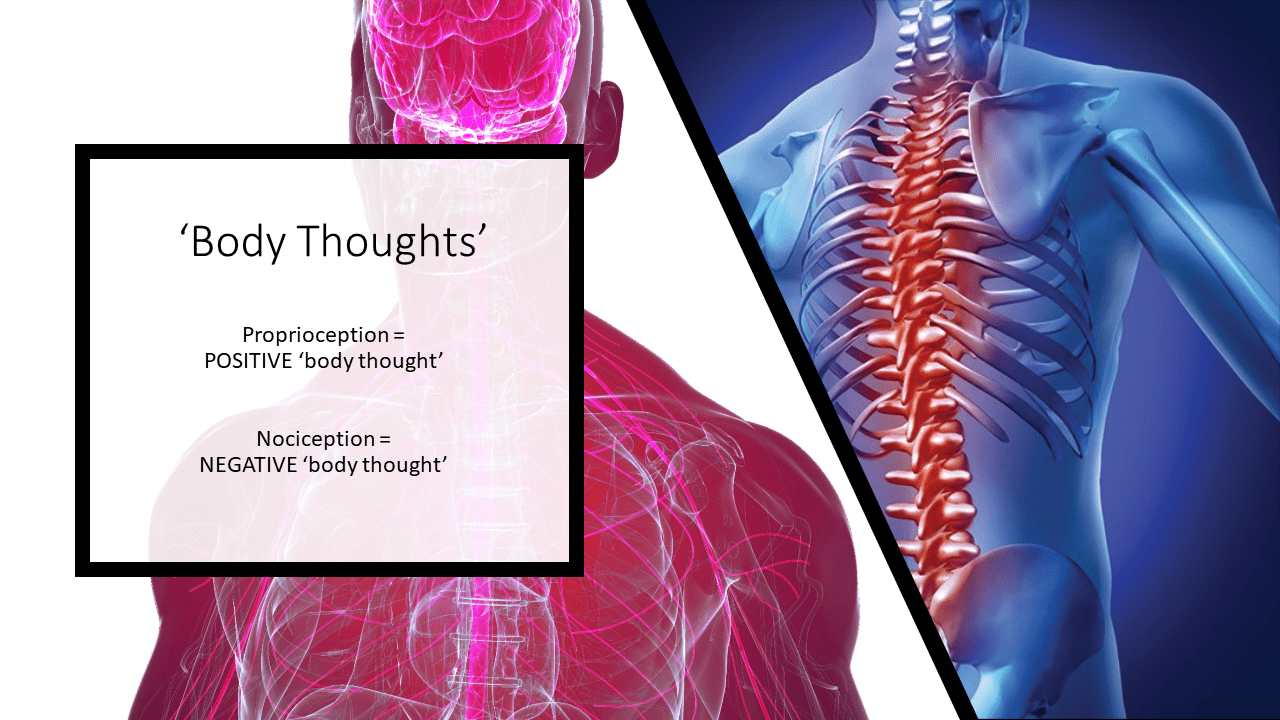 Body Thoughts - a novel way to describe incoming nerve messages