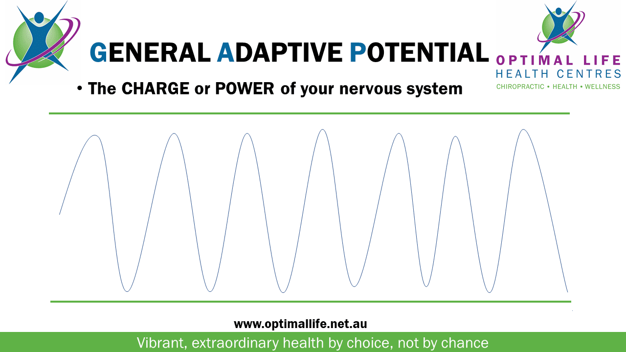 An image describing the concept of General Adaptive Potential in stress physiology