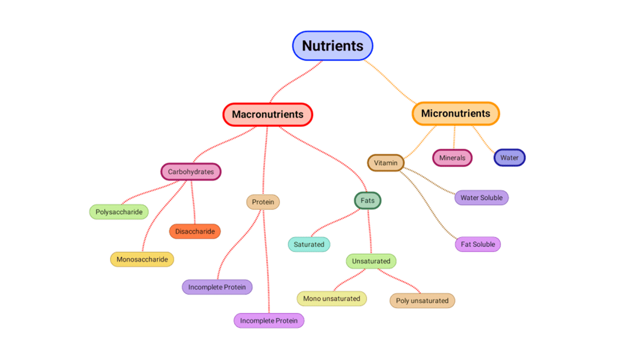 micro and macronutrients diagram