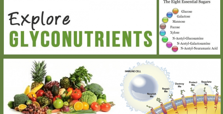 Glyconutrients cover image showing fruit, veggies, cellular receptors and the types of important sugars
