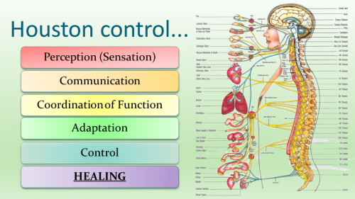 Houston Control - functions of our nervous system - perception, communication, coordination, adaptation, control, healing