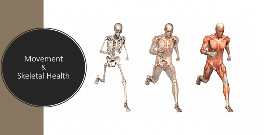 movement skeletal health